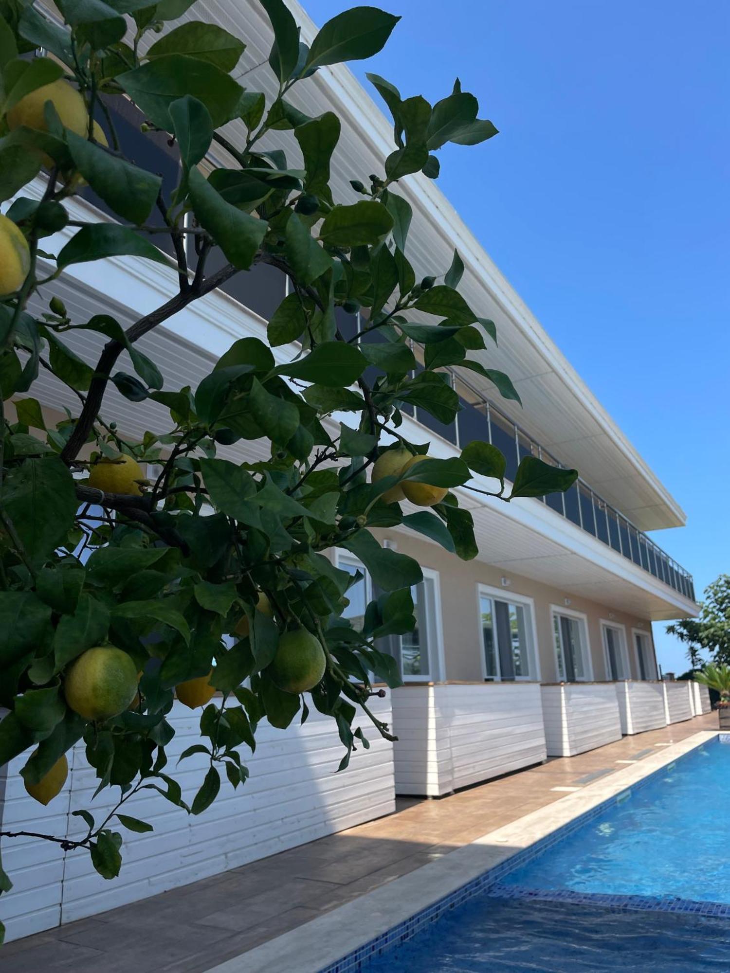 Gradina Holiday Sozopol Esterno foto